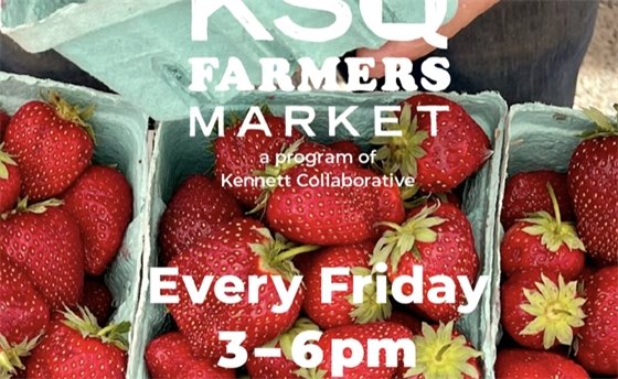 KSQ Farmers Market 