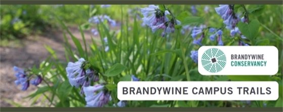 Brandywine Campus Trail