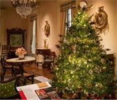 Graphic of Christmas Tree