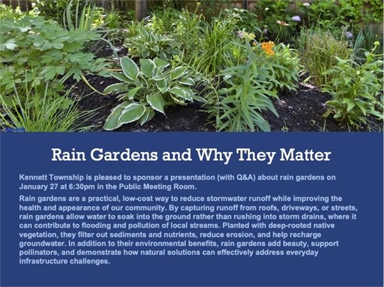 Photo pf green plants and words explaining the Rain Gardens Presentation