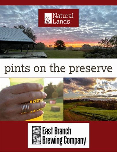 Pints on the preserve