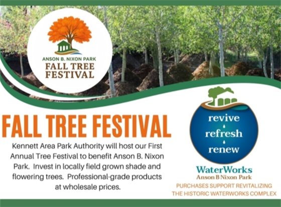 Fall Tree Festival