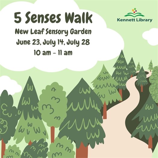 5 Senses Walk 