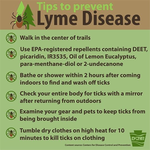 Lyme