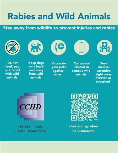 Rabies & Wildlife Animals 