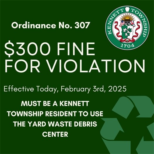 Ordinance 307