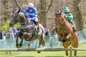 Photo of Point to Point Horse Race