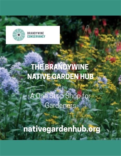The Brandywine Native Garden Hub