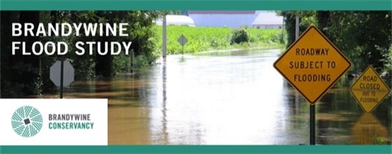 Brandywine Flood Study 2025