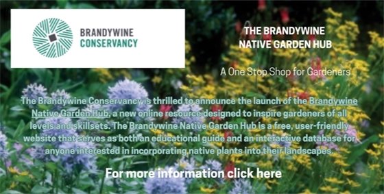 Brandywine Native Garden Hub