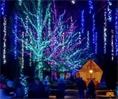 Longwood Gardens Holiday Lights