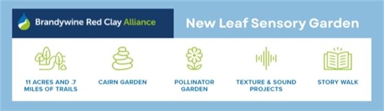 Discover the Sensory Garden at New Leaf