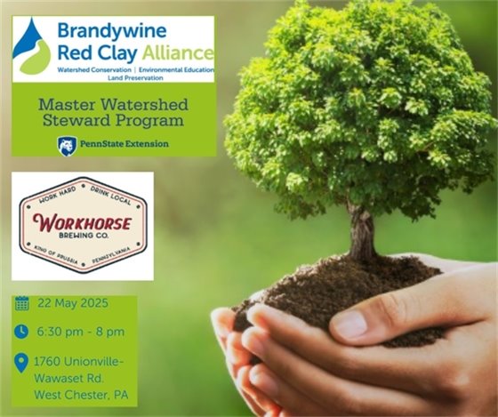 Sip & Learn Stormwater Event 5/22/25