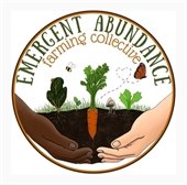 Emergent Abundance: farming collective