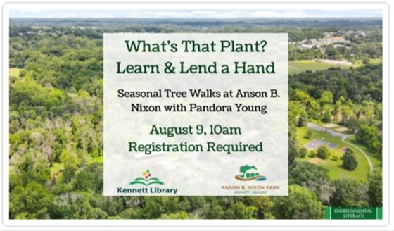 What's that Plant? Learn & Lend a Hand